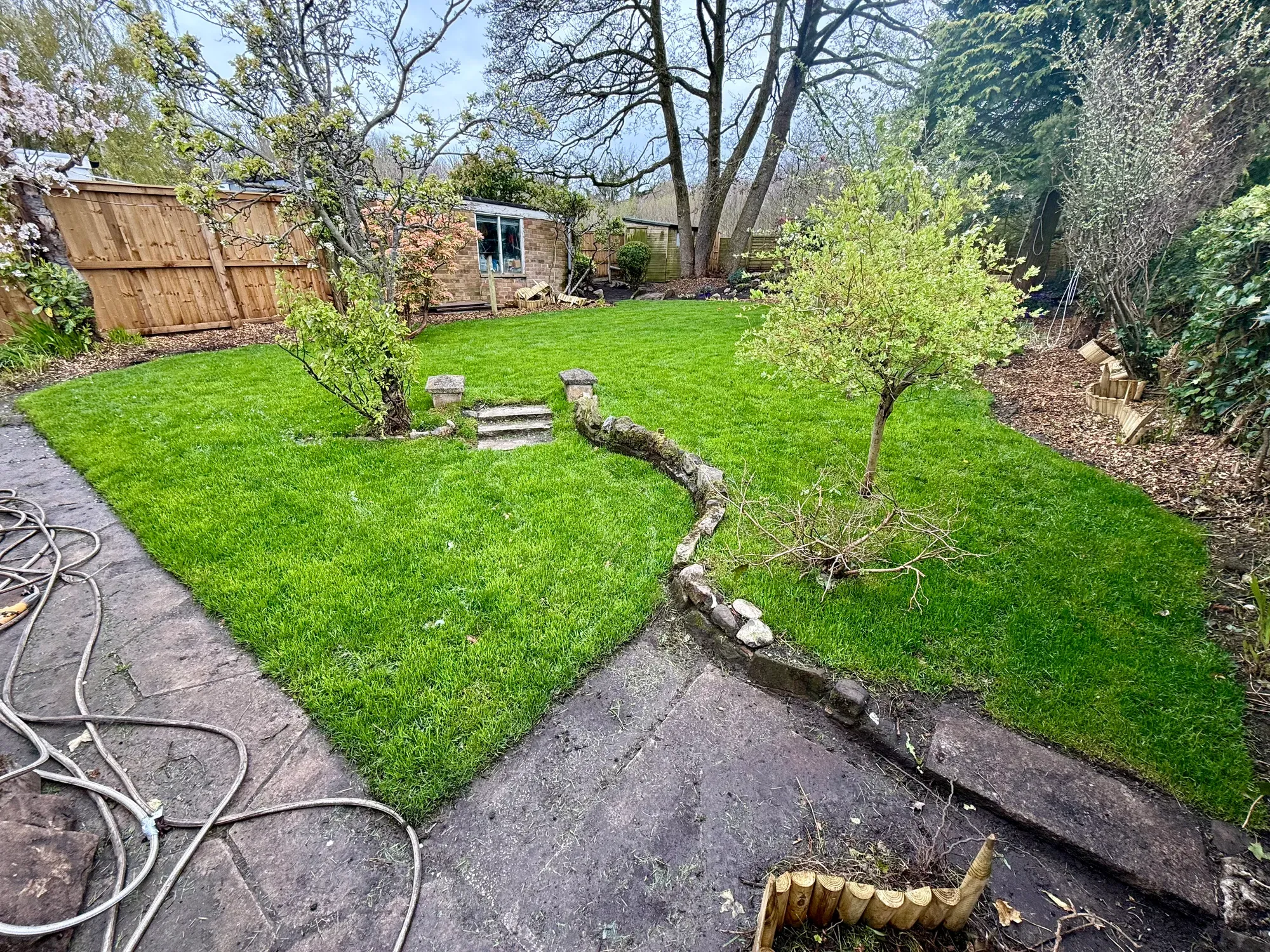 A dense green lawn edged against stone borders, with a young tree standing in it