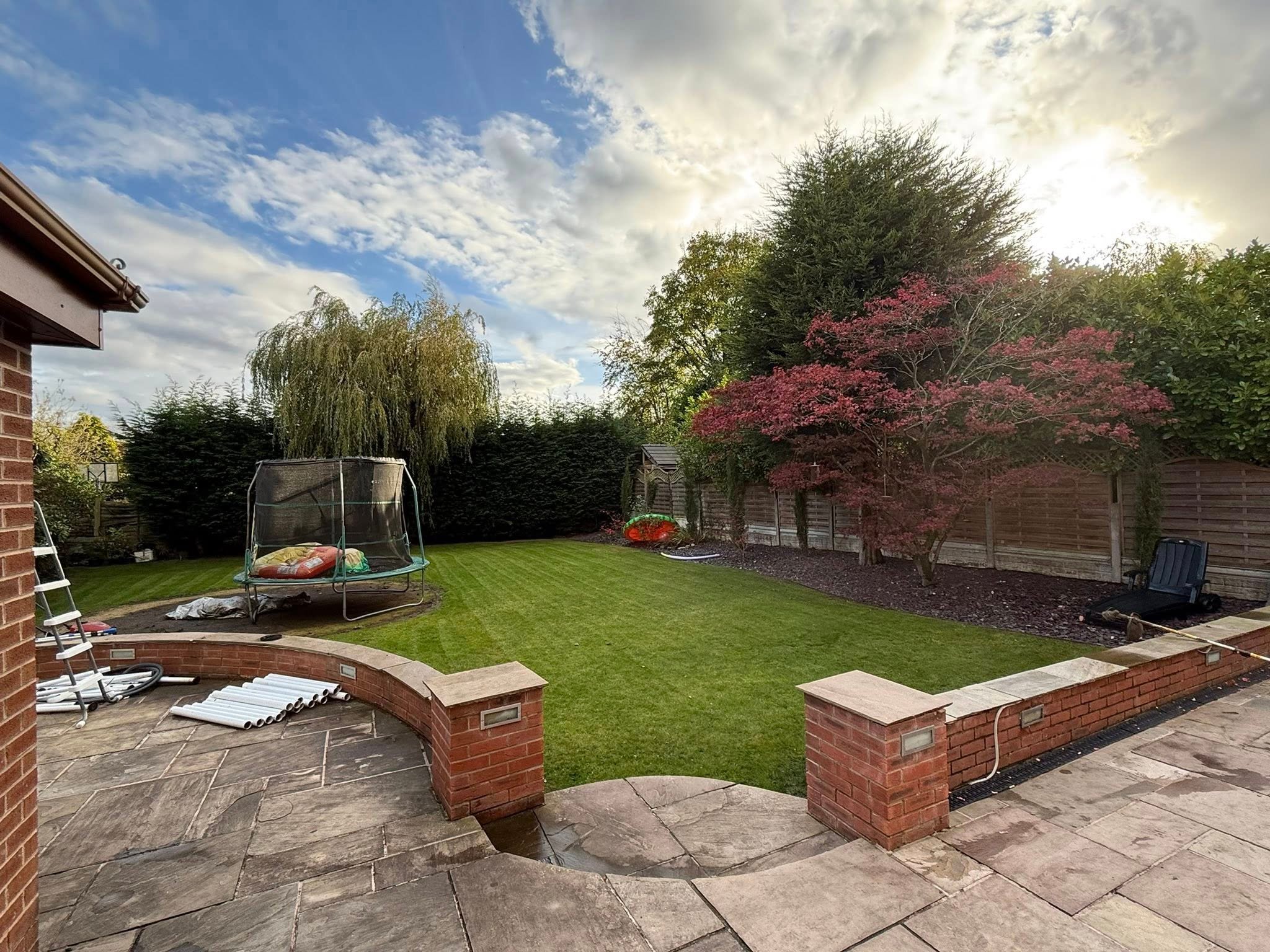 Lawn Renovation